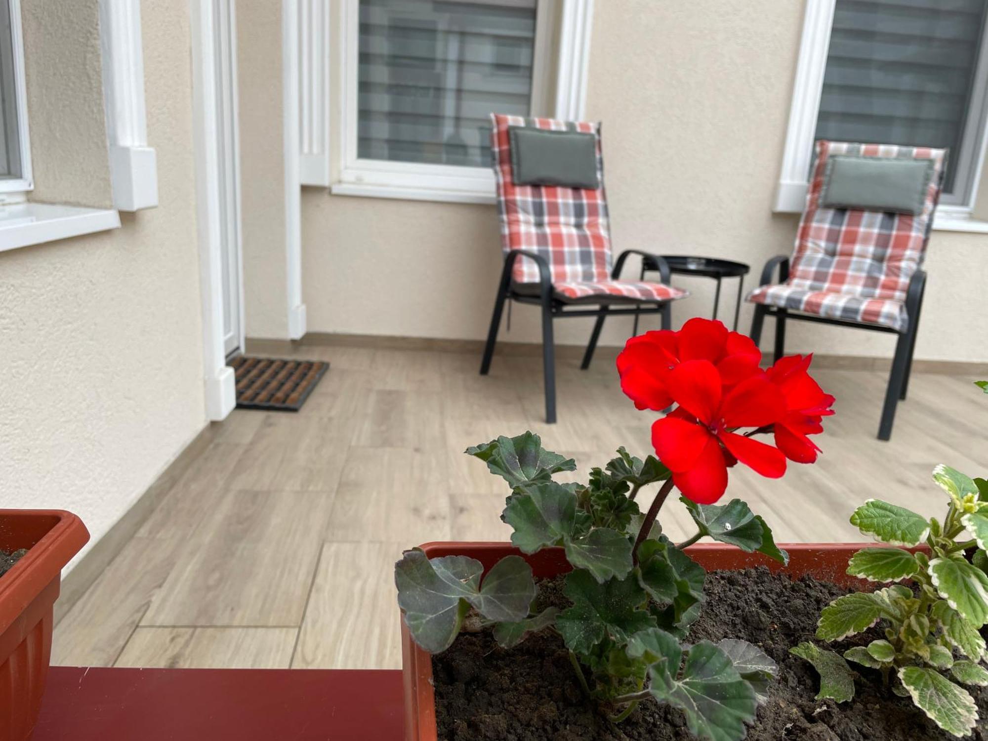 Urban Apartments Σουμπότικα Εξωτερικό φωτογραφία